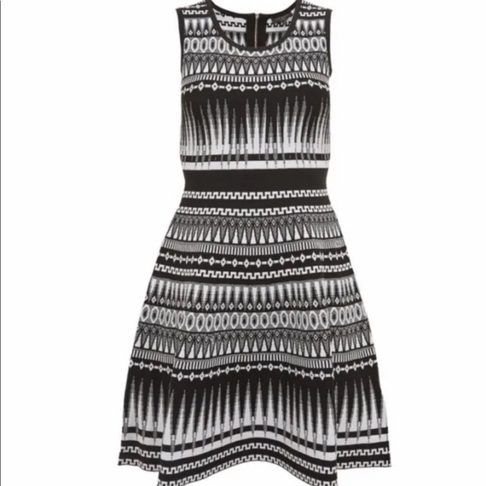 Ted Baker Gilleyy Knitted Skater Dress Black/White A-Line